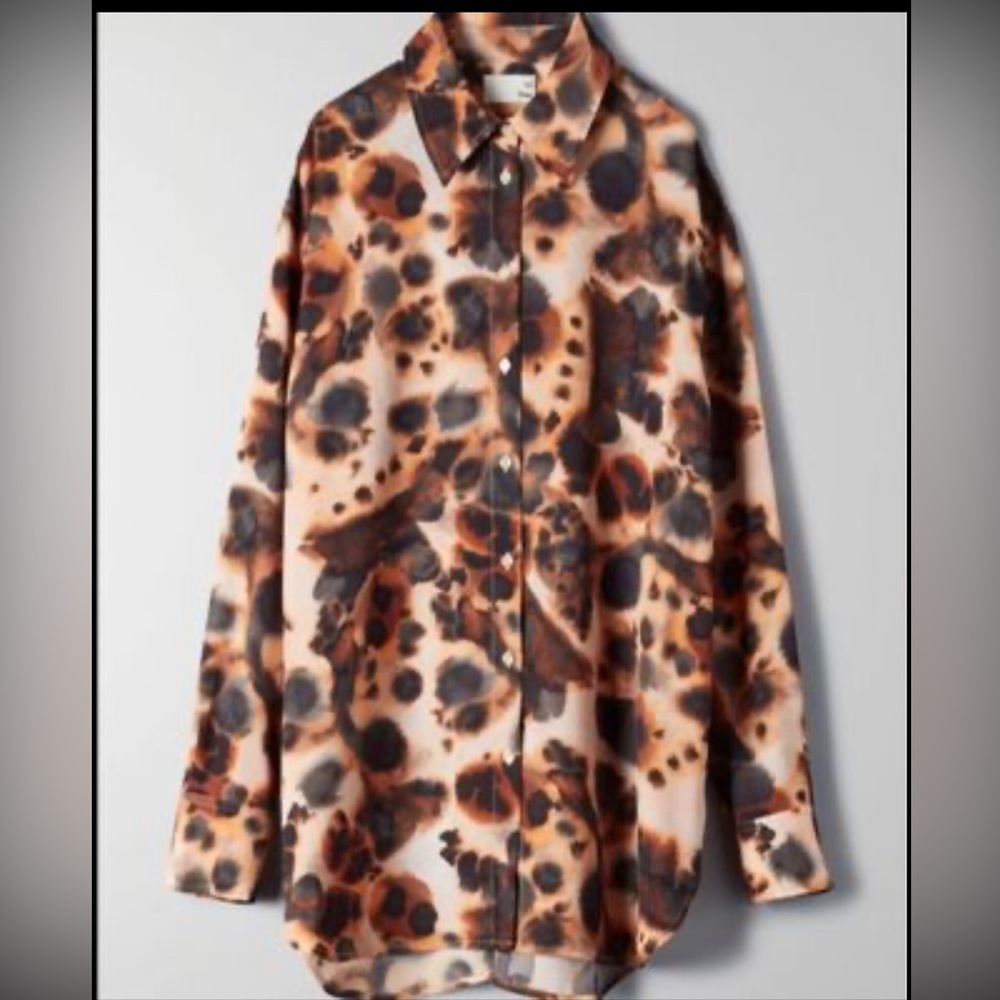 Aritzia Wilfred Free Brinley blouse (BNWOT)